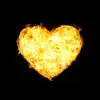 The SunBears - Set Fire to My Heart - Single
